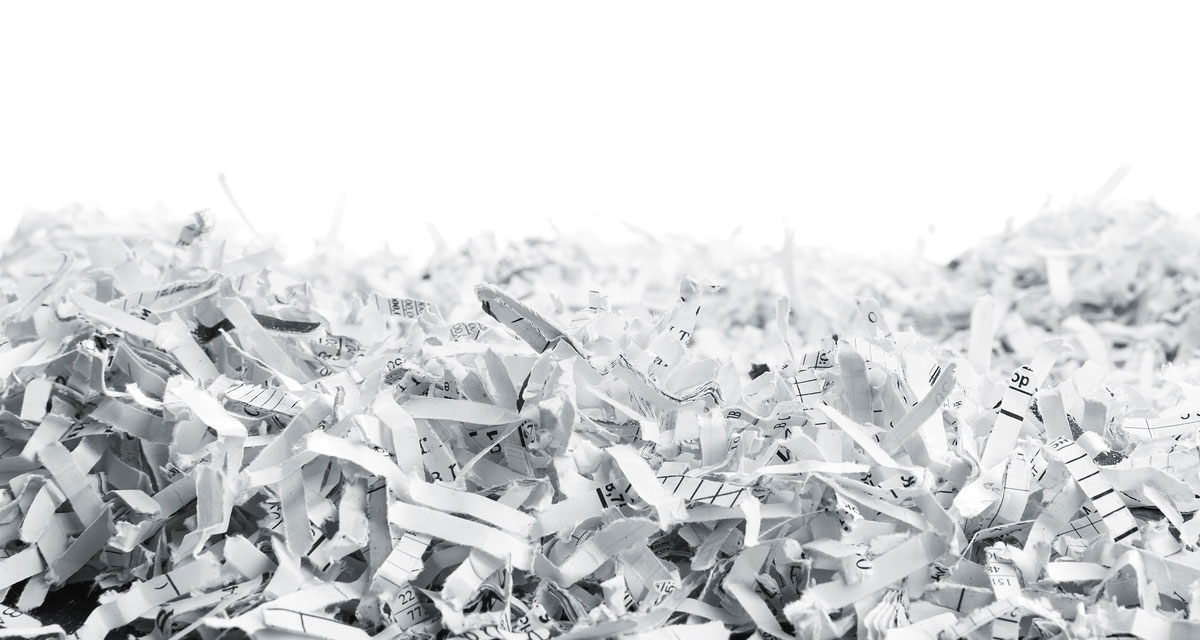 Go way beyond Shred Days